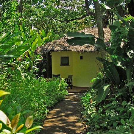 Moivaro Coffee Lodge Arusha Ngoại thất bức ảnh