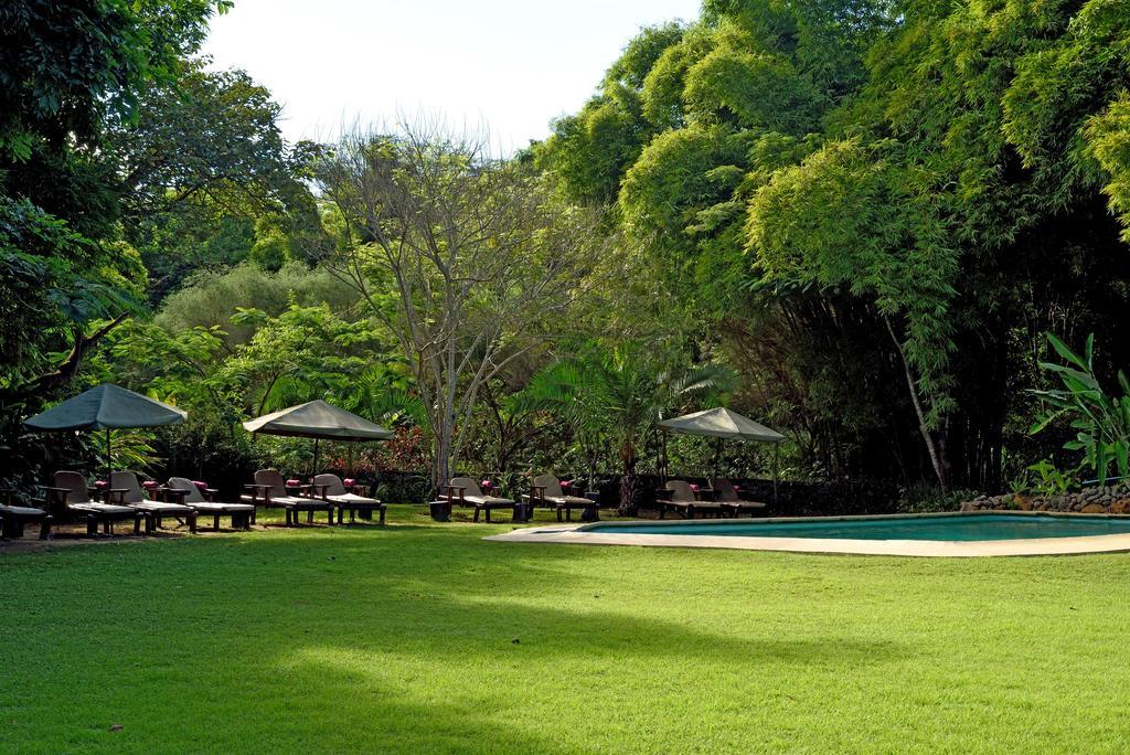 Moivaro Coffee Lodge Arusha Ngoại thất bức ảnh