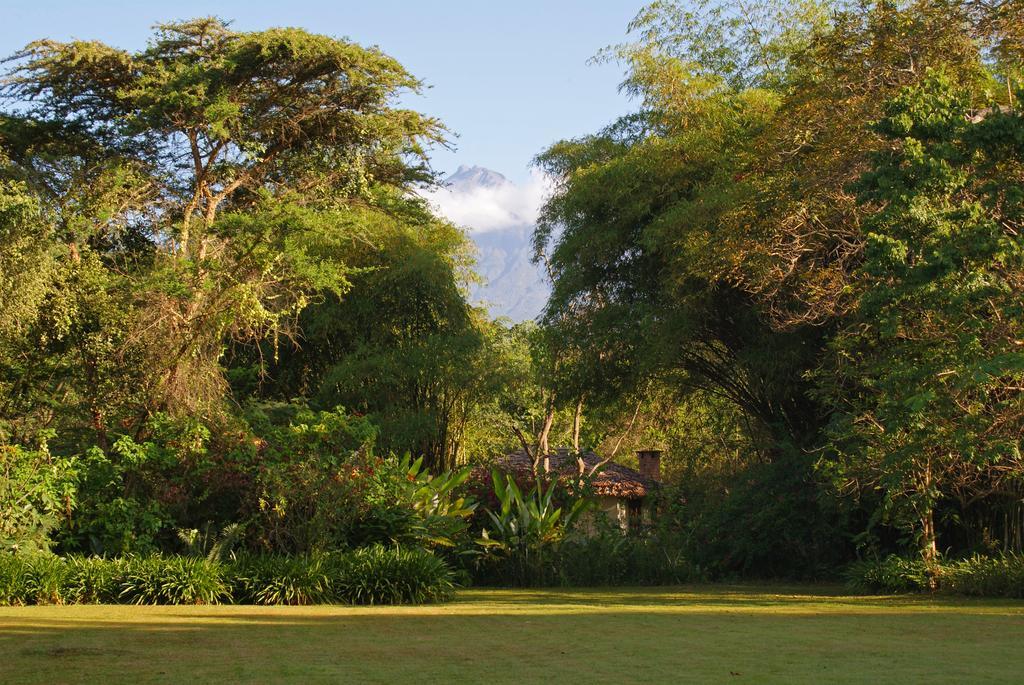 Moivaro Coffee Lodge Arusha Ngoại thất bức ảnh