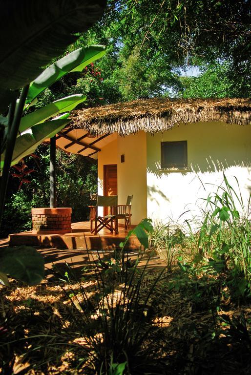 Moivaro Coffee Lodge Arusha Phòng bức ảnh